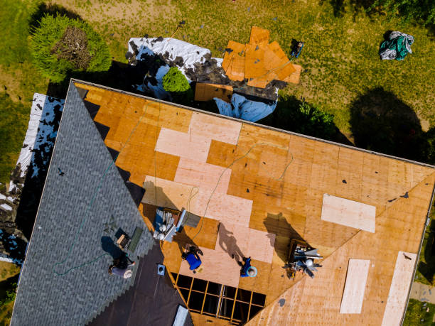 Best Roof Repair Services  in Mission, TX
