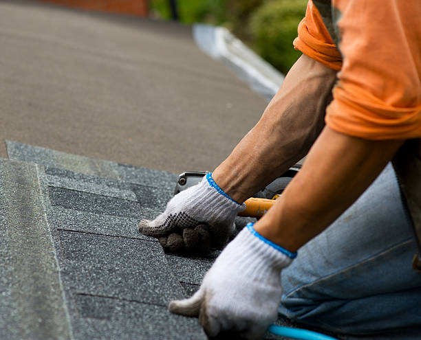 Best Local Roofing Companies  in Mission, TX