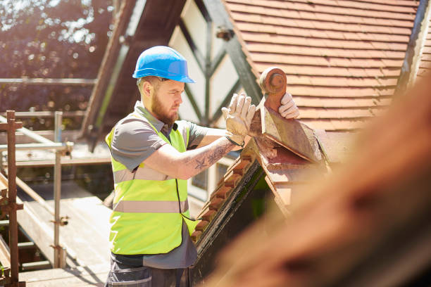 Best Metal Roofing Contractor  in Mission, TX