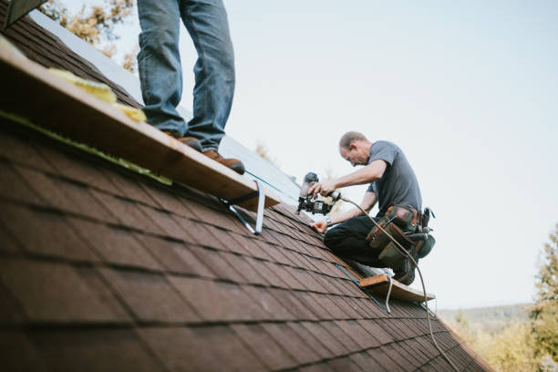 Professional Roofing Contractor in Mission, TX
